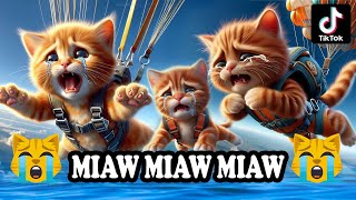 Miaw miaw miaw miaw Song sad cat story tiktok FULL😭 cat aicat catlover cats catsong aiimages [upl. by Aneekas]