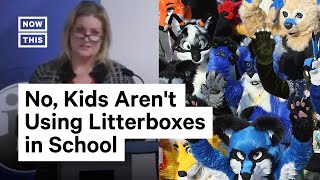 Parent Rants About Furries in Schools [upl. by Dammahom486]