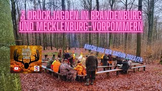 3 Drückjagden in Brandenburg und MecklenburgVorpommern  DrückjagdJournal Folge 823 [upl. by Beitch]