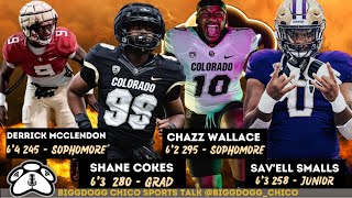 Colorado Buffs Defensive Line Depth Chart [upl. by Joletta]