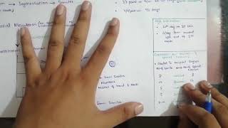 Formation of Somites Embryology 1  Paraxial Mesoderm  Easiest way to Remember [upl. by Nya286]