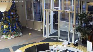 Anchorage Earthquake 11302018 Front Lobby [upl. by Toland896]