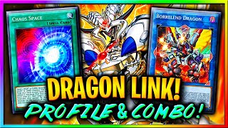 DRAGONS NEVER DIE  Dragon Link Profile  Combo tutorial [upl. by Guyon]