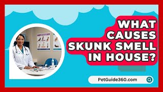 What Causes Skunk Smell In House  PetGuide360com [upl. by Linzer]