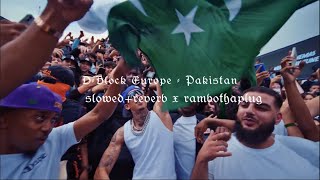 DBlock Europe  Pakistan  slowed  reverb Music Video [upl. by Klimesh]