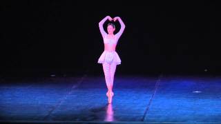 Ballet Classico premiado 2014 Georgia Giovanardi [upl. by Kamerman256]