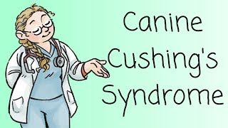 Dr Ferox on Cushings Syndrome [upl. by Atnoled]