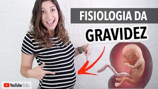 Fisiologia da Gravidez Sistema Cardiovascular e Respiratório  Anatomia etc [upl. by Ellynn]