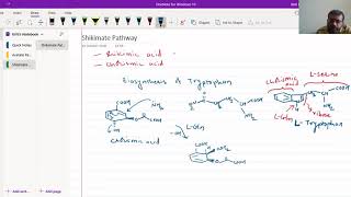 Shikimate Pathway  Biosynthesis Of Tryptophan KirtiPatelChemistry [upl. by Anes]