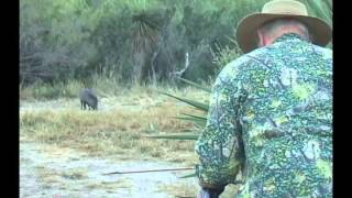 Stalking Javelina with a Long Bow and Bushlan Camo [upl. by Franciska]