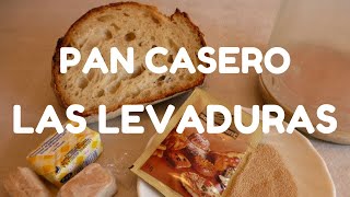 Pan Casero  Clases de Levaduras para hacer pan en casa [upl. by Tterab908]