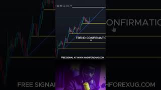 Discover the Power of Support and Resistance in Forex Trading [upl. by Philoo]