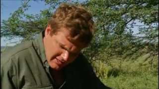 RAY MEARS AFRICA SAFARI FULL EPISODE [upl. by Gnoz]