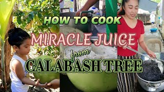 How to Cook MIRACLE JUICE from Calabash Tree  Simple and easy cooking [upl. by Acebber509]