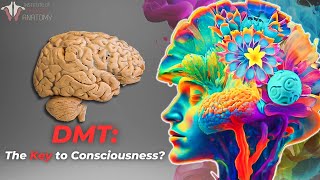 The Profound Potential of DMT [upl. by Sherer400]