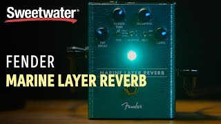 Fender Marine Layer Reverb Pedal Review [upl. by Gitel]