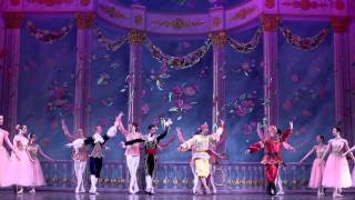 Moscow Ballets Great Russian Nutcracker  Waltz of the Flowers 2013 [upl. by Aihsekan]