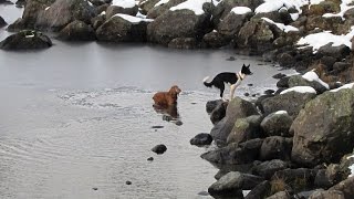 Lake District Country Walk Grasmere to Easedale Tarn round [upl. by Ytima167]