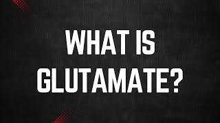 What is Glutamate [upl. by Lenahtan131]