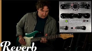 Source Audio Ventris Dual Reverb  Reverb Tone Report Demo [upl. by Fifine609]