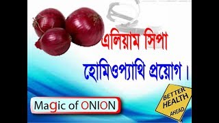 Homeopathy Bangla Software BioTech LearningAllium Cepa Call 01552396159 [upl. by Anceline]