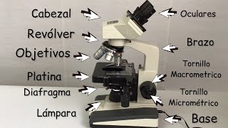 El microscopio y sus partes Explicación de cómo funciona BiologíayEcología clasesdebiología [upl. by Esyak]