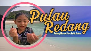 Redang Island  Redang Marine Park Teluk Dalam Part 1 [upl. by Thistle]