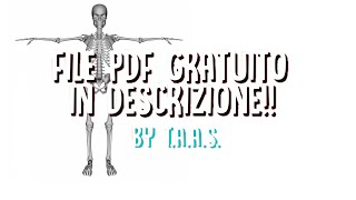 L’ossificazione indiretta in 1 minuto file PDF in descrizione [upl. by Nomar]