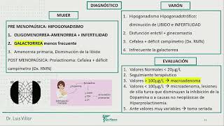 Endocrinología  Hiperprolactinemia Prolactinoma Adenoma Hipofisiario [upl. by Adolpho]