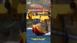 Un avion pas comme les autres ceci est un bombardier deau pour les incendies fire avion fyp [upl. by Leann]