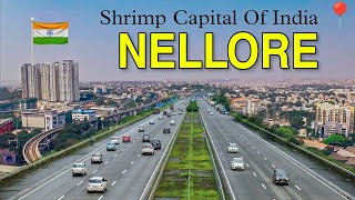 Nellore  Shrimp Capital of India📍  Nellore City  Nellore Andhra Pradesh  Facts about Nellore [upl. by Eelirrem7]