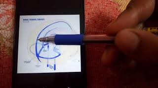 DURAL VENOUS SINUSES simplest explanation part 2 [upl. by Suivatna]