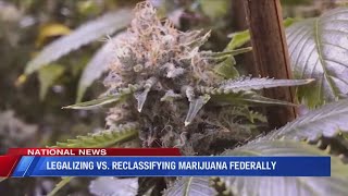 Legalizing vs reclassifying marijuana federally [upl. by Aihtyc]