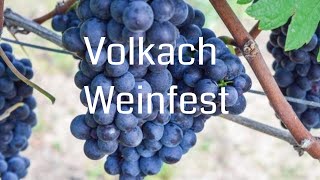 Weinfest Volkach  der Saft der ersten Trauben [upl. by Lasley]