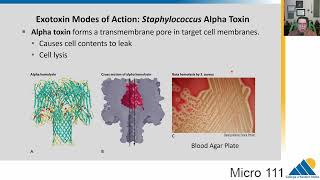 MICRO 111 Ch184 Host Damage and Manipulation  Introductory Microbiology [upl. by Enellek]