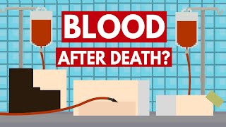 Can You Give Blood After Death  Dear Blocko 1 [upl. by Hartwell]