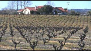 Exploring Californias Zinfandel Zone [upl. by Nitsew]