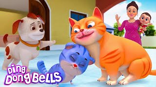 म्याऊं म्याऊं बिल्ली करती  Meow Meow Billi Karti v2  Hindi Rhymes for Children  Ding Dong Bells [upl. by Roumell]