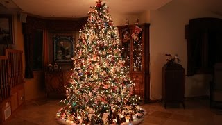 Building the Most Beautiful Christmas Tree Time Lapse [upl. by Kenn]