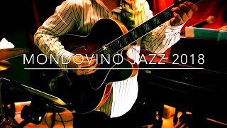 Dirk Van der Linden Trio  MONDOVINO JAZZ 2018 [upl. by Mignonne]