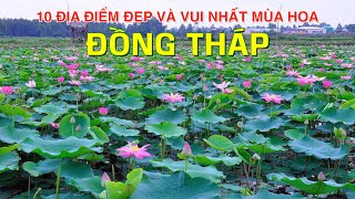 DU LỊCH và KHÁM PHÁ ĐỒNG THÁP đến 10 Địa Điểm Vui và Đẹp Nhất Mùa Hoa Đồng Tháp Top 10 in Dong Thap [upl. by Haropizt781]