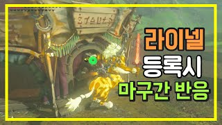 라이넬을 마구간에 등록한다면 젤다의 전설 브레스 오브 더 와일드 [upl. by Etteiluj858]