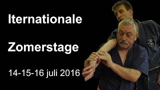 Demonstration 6 Iternationale Zomerstage 14 15 16 juli 2016 Aikido Aikijujutsu Kobukai [upl. by Wrightson277]