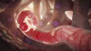 Awesome Animation Demo Reel  2013  Nucleus Medical Media [upl. by Attirb363]