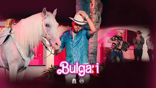 Los Gemelos De Sinaloa  Bulgari En Vivo [upl. by Mcspadden404]