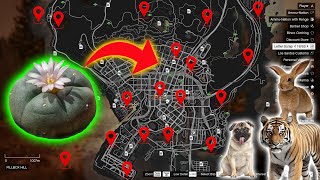 GTA 5  2024 All New Peyote Plants Location Guide Story Mode [upl. by Arahahs]