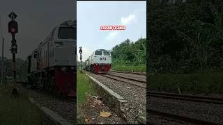 Kereta Api Pangandaran Panoramic Menanjak Di Area Stasiun Ciganea shorts short railway keretaapi [upl. by Jakob]