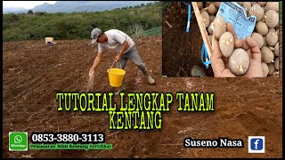 TUTORIAL LENGKAP TANAM KENTANG [upl. by Aynam8]