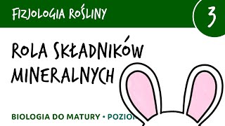 Rola składników mineralnych sole mineralne  znaczenie  Fizjologia roślin 3  matura z biologii [upl. by Ecnav]