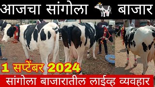 एकाच गाईसाठी दोन व्यवहार आजचा सांगोला 🐄 बाजार [upl. by Virgel151]